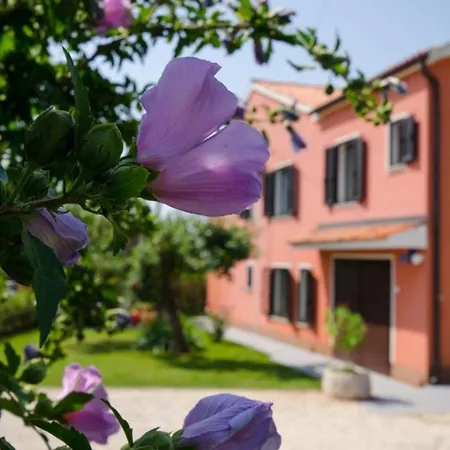 Comfort Roza In Villa Umag
