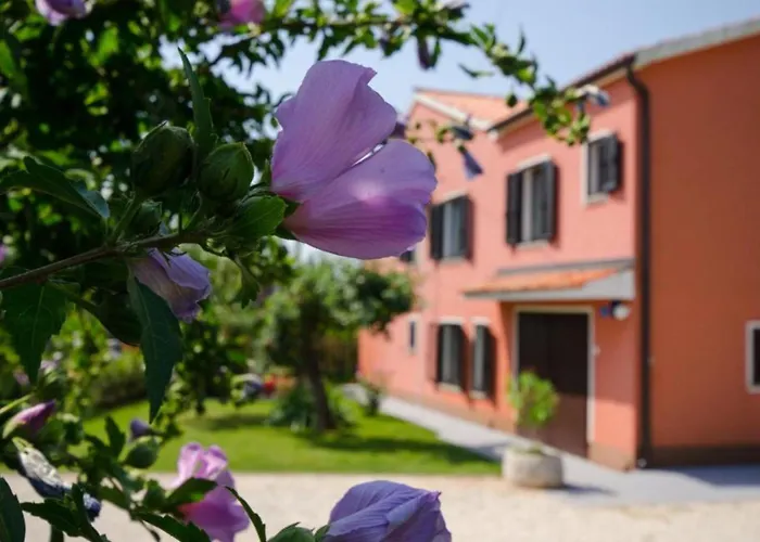 Comfort Roza In Villa Umag