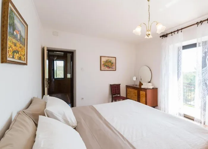 Comfort Roza In